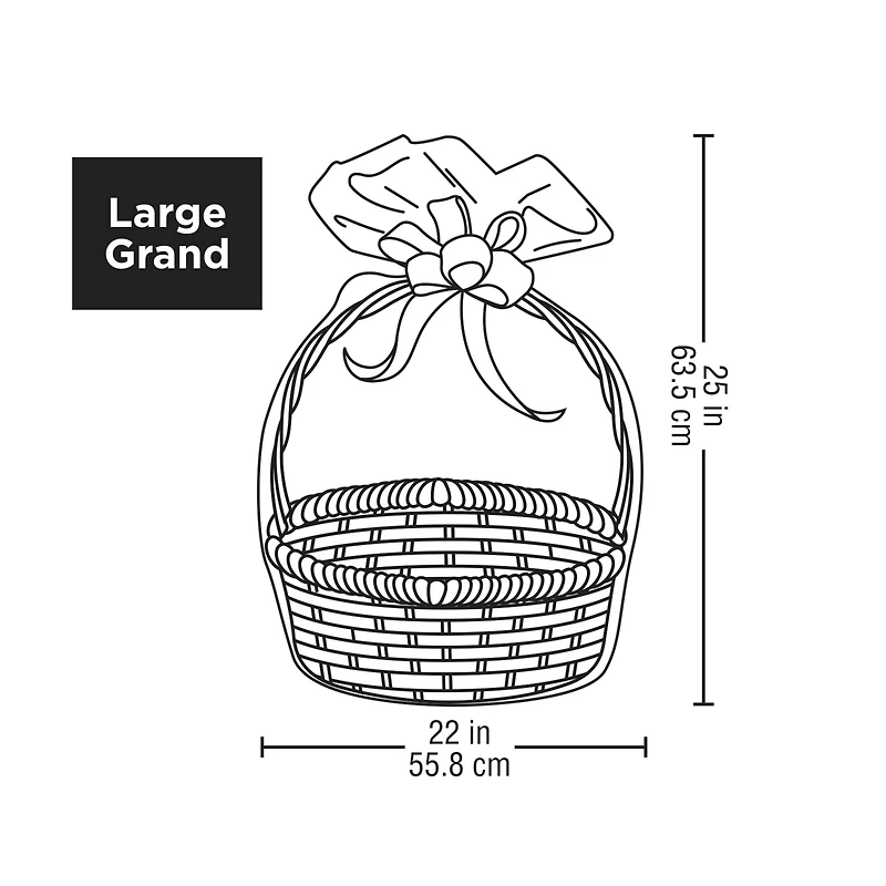 Large Clear Basket Gift Bag by Celebrate It™
