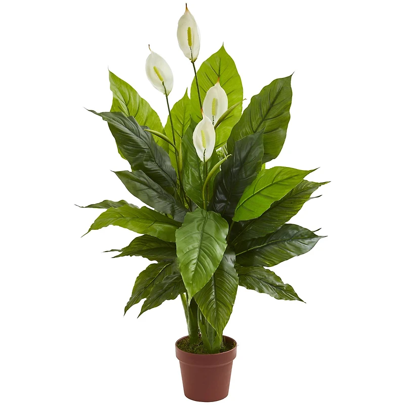 3.5ft. Potted Peace Lily