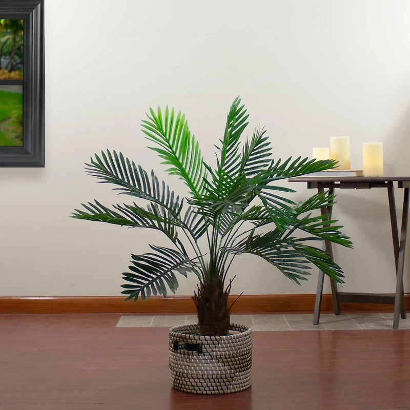 3ft. Potted Green Palm Plant