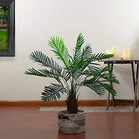 3ft. Potted Green Palm Plant