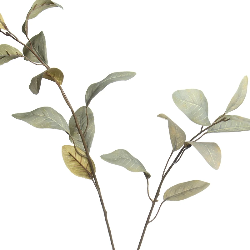 Green Feather Eucalyptus Stem by Ashland®