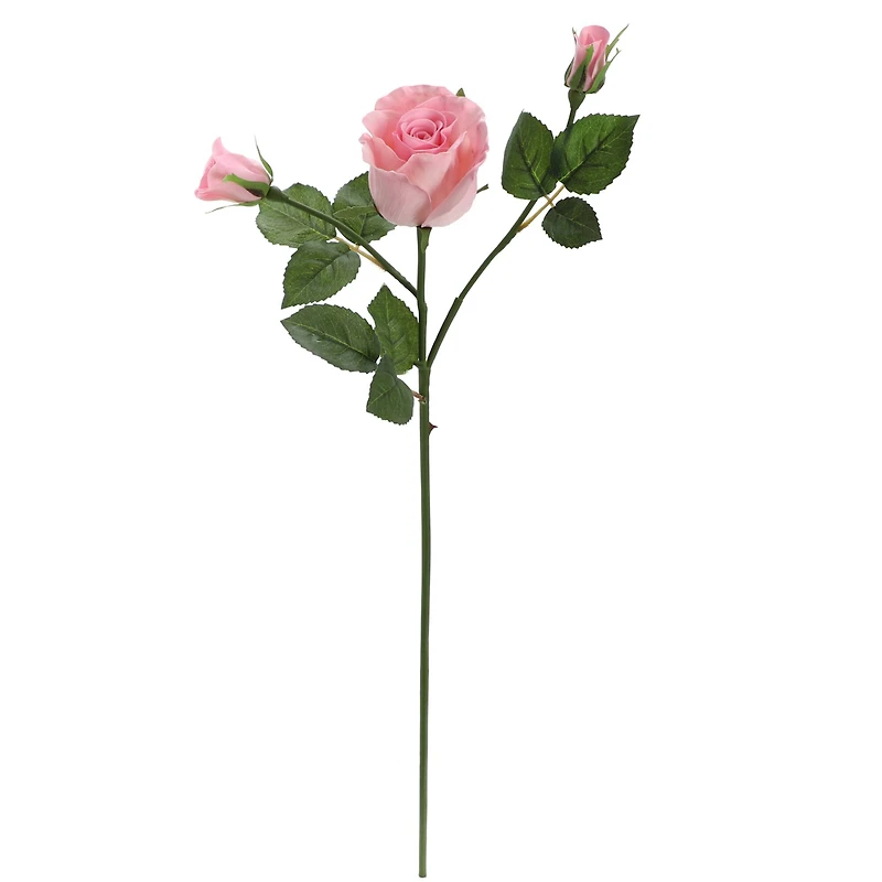 6 Pack: Blush Rose Spray by Ashland®