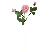 6 Pack: Blush Rose Spray by Ashland®