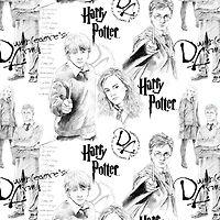 Harry Potter™ Mystery of Magic Cotton Fabric