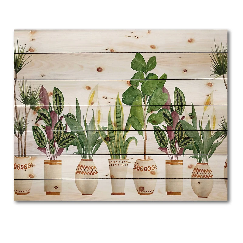 Designart - Trio of Houseplants Sanseviera Snake Plant