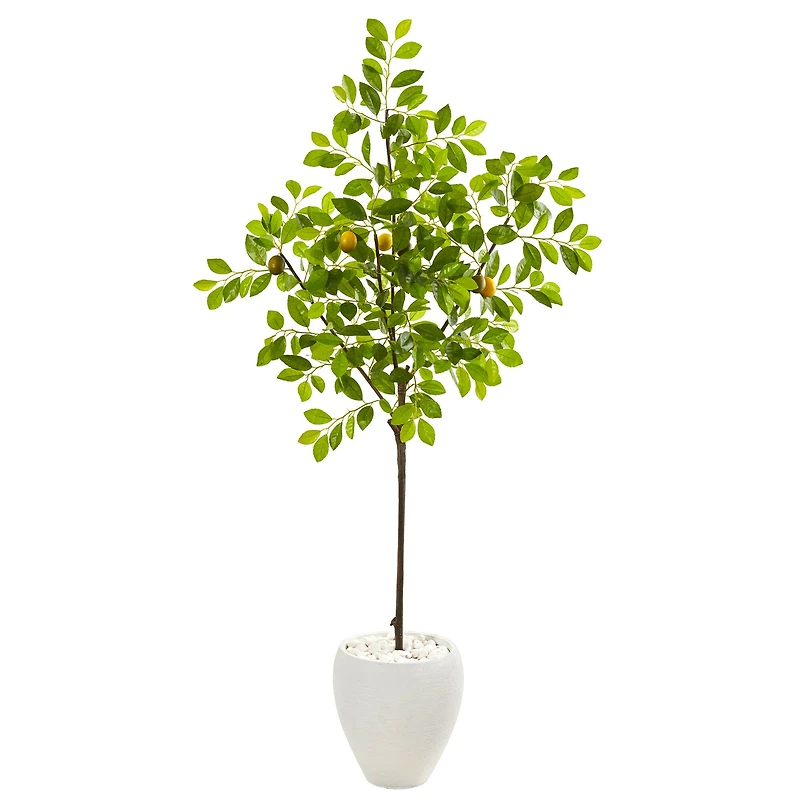 5.5ft. Lemon Tree in White Planter