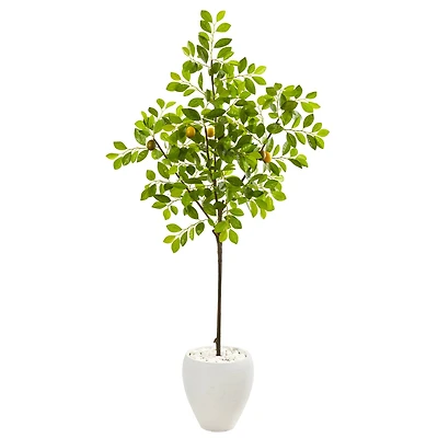 5.5ft. Lemon Tree in White Planter