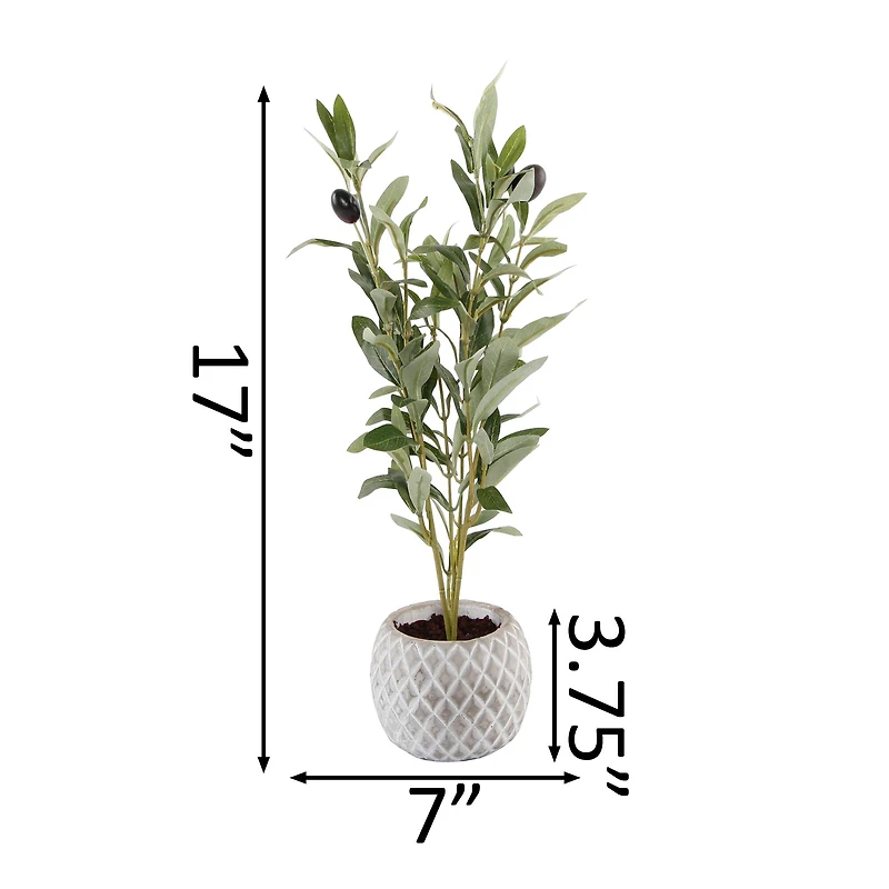 Flora Bunda® 14" Olive Branch In 4" Ceramic Pot