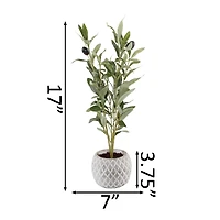 Flora Bunda® 14" Olive Branch In 4" Ceramic Pot