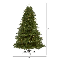 7ft. Pre-Lit South Carolina Spruce Artificial Christmas Tree, White Warm LED Lights