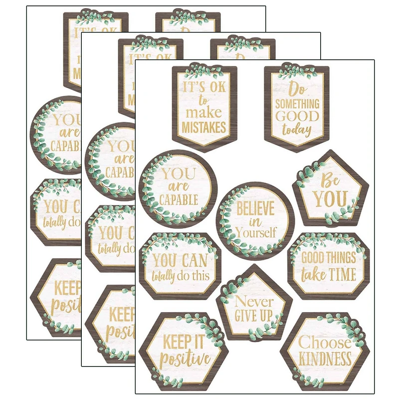 Teacher Created Resources Eucalyptus Positive Sayings Accents, 3 Packs of 30