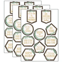 Teacher Created Resources Eucalyptus Positive Sayings Accents, 3 Packs of 30