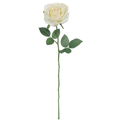 24" Rose Real Touch Stem by Ashland
