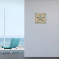 Stupell Industries Nautical Starfish Ocean Animal Muted Neutral, 12" x 12"