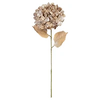 27" Champagne Hydrangea Stem by Ashland®