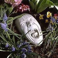 Design Toscano 9.5" Screaming Simon Wall Sculpture