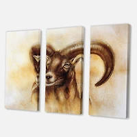 Designart - Portrait of Wild Ram With Mighty Horns I
