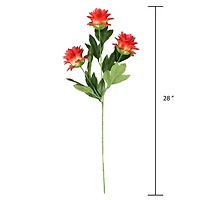 Red Hops Stem by Ashland®