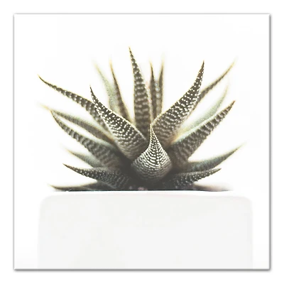 Designs Direct Aloe Plant Canvas Wall Art