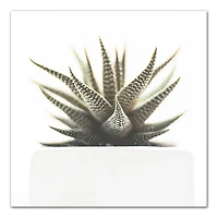 Designs Direct Aloe Plant Canvas Wall Art