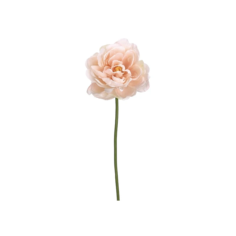 Soft Pink Peony Stem