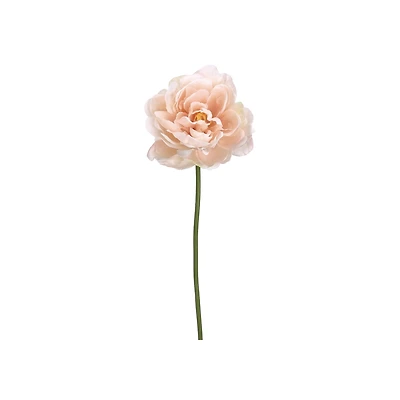 Soft Pink Peony Stem