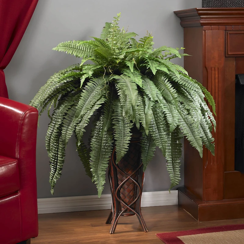 3ft. Boston Fern Plant in Stand