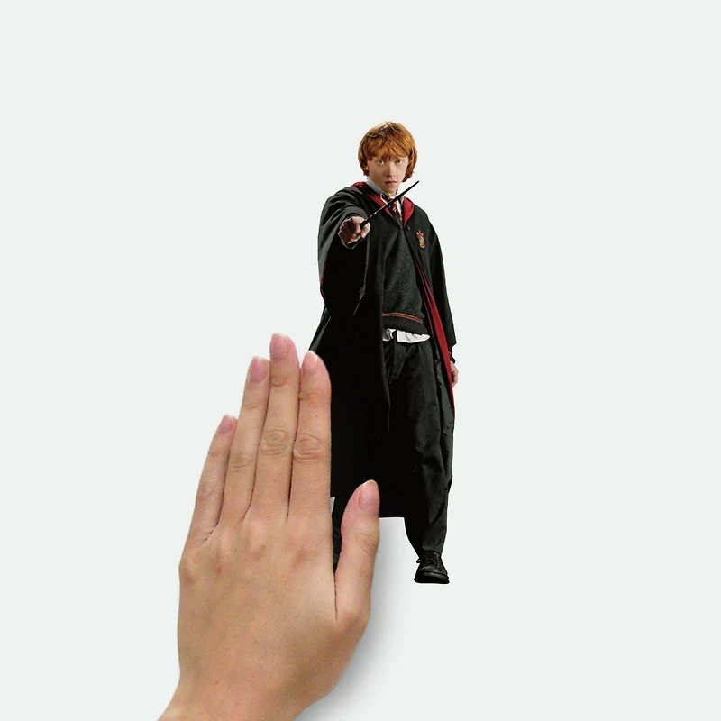 RoomMates Harry Potter Peel & Stick Wall Decals