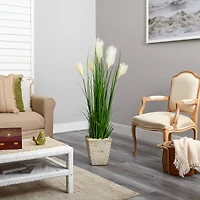 4.5ft. Wheat Plume Grass Plant in Country White Planter