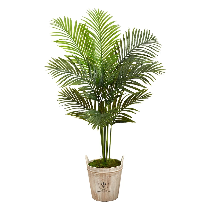 5ft. Paradise Palm Tree in Farmhouse Planter
