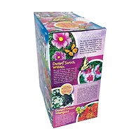 Biosphere Terrarium - Bountiful Butterfly Garden