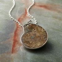 6 Pack: Fossil Shell Pendant by Bead Landing™