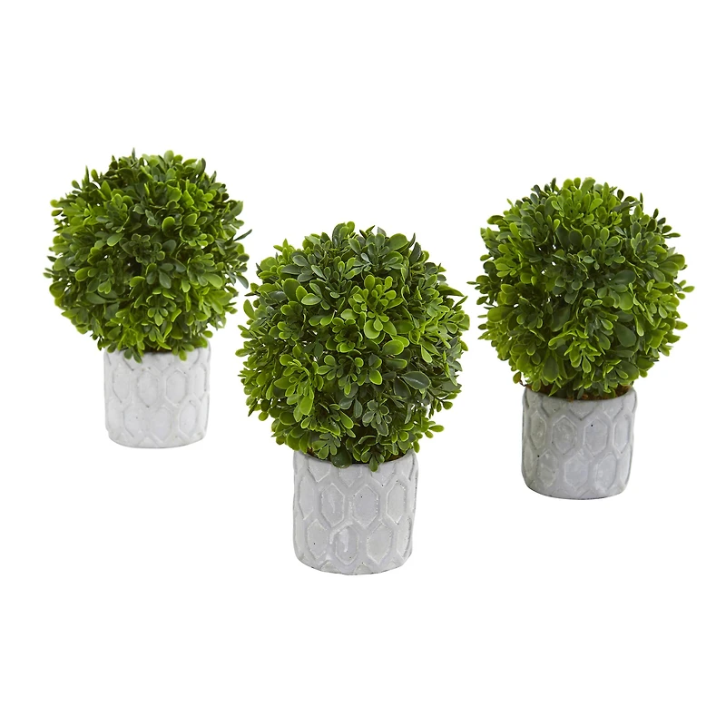 9" Potted Boxwood Mini Topiary, 3ct.