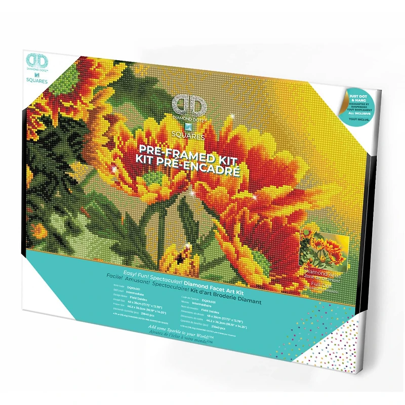 Diamond Dotz® Intermediate Field Daisies Pre-Framed Diamond Painting Kit