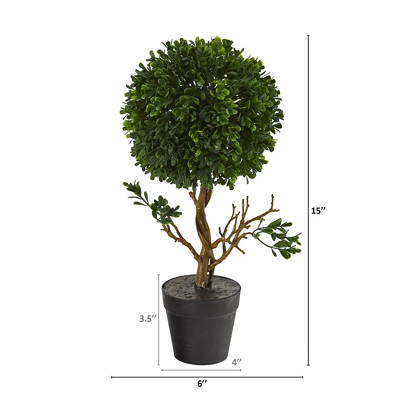 15" Potted Tabletop Boxwood Topiary Tree