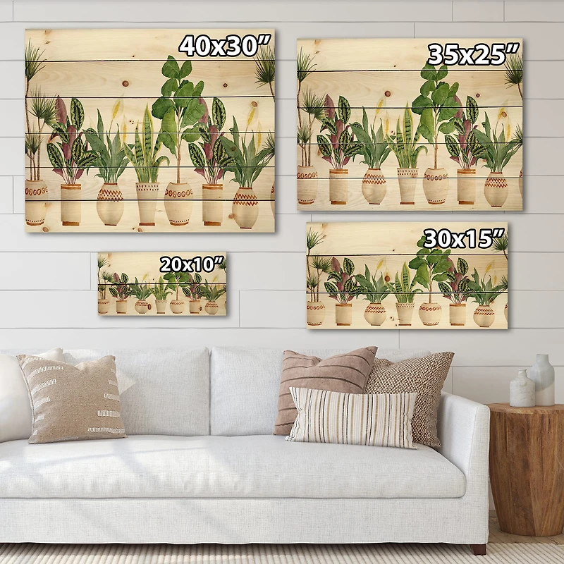Designart - Trio of Houseplants Sanseviera Snake Plant