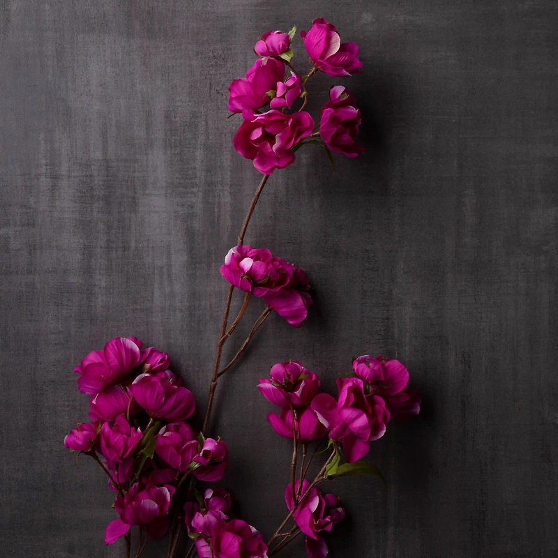 6 Pack: Mauve Anemone Spray by Ashland®