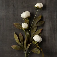 Cream Peony Stem by Ashland®