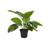 Green Plastic Traditional Artificial Foliage, 19" x 12" x 12"