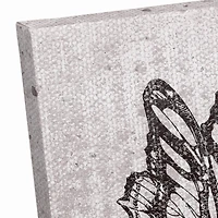 Grayscale Butterflies 24" x 24" Canvas Wall Art