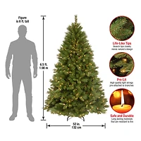 6.5ft. Pre-Lit Winchester Pine Artificial Christmas Tree, Clear Lights