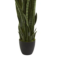 3.5ft. Potted Snake Plant