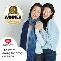 2 Pack Red Heart® Super Saver Ombre™ Yarn