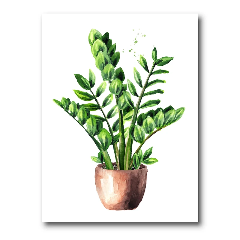 Designart - Zamioculcas Tropical Plant With Green Leaves
