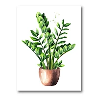 Designart - Zamioculcas Tropical Plant With Green Leaves