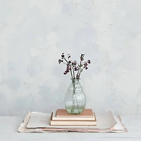 Hello Honey® 9.75" Clear & Light Green Round Serene Glass Vase