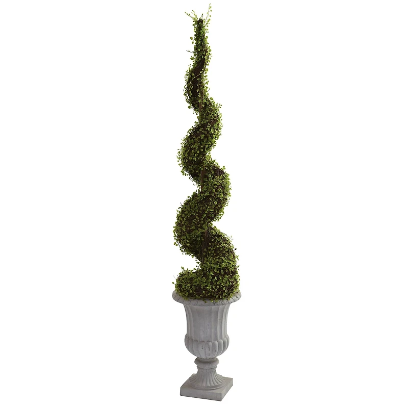 5ft. Mohlenbechia Spiral Tree with Decorative Urn