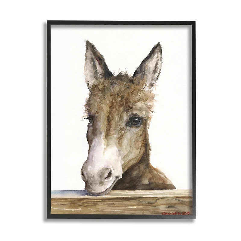 Stupell Industries Baby Donkey Portrait Wall Art in Black Frame