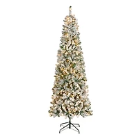 7.5ft. Pre-Lit Acacia Medium Flocked Artificial Christmas Tree, Clear Lights
