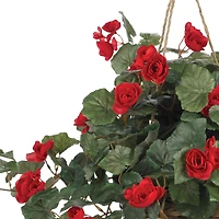 24" Red Begonia in Hanging Basket